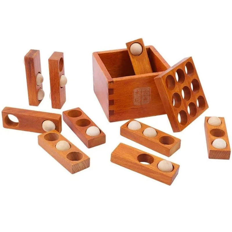 Wooden Brain Teaser Puzzle Set for Adults