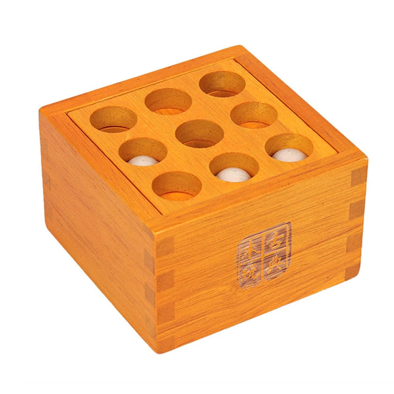 Wooden Brain Teaser Puzzle Set for Adults
