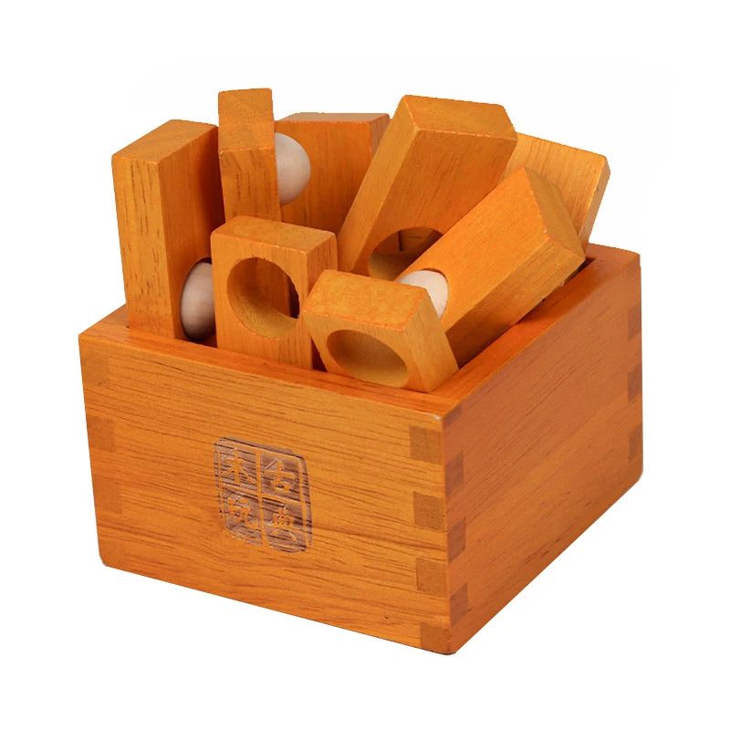 Wooden Brain Teaser Puzzle Set for Adults