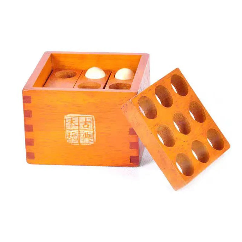 Wooden Brain Teaser Puzzle Set for Adults