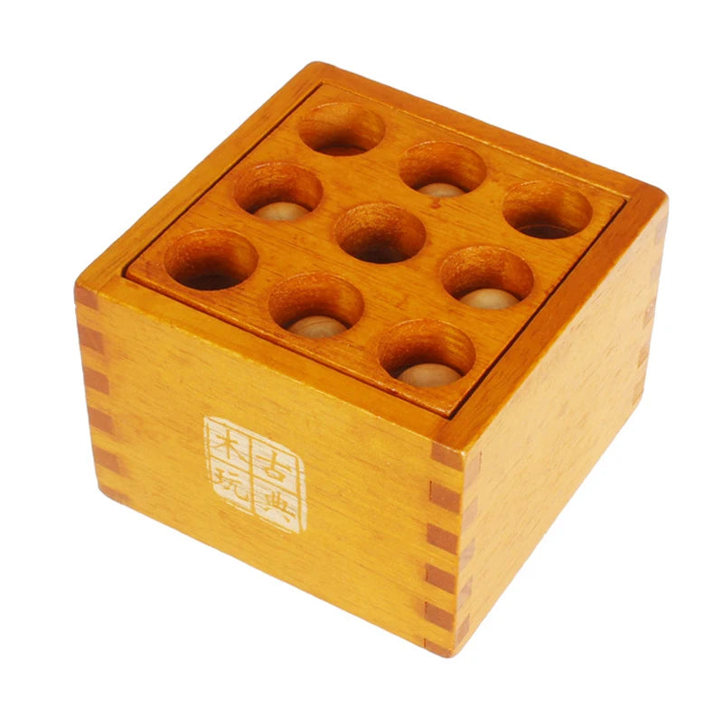 Wooden Brain Teaser Puzzle Set for Adults