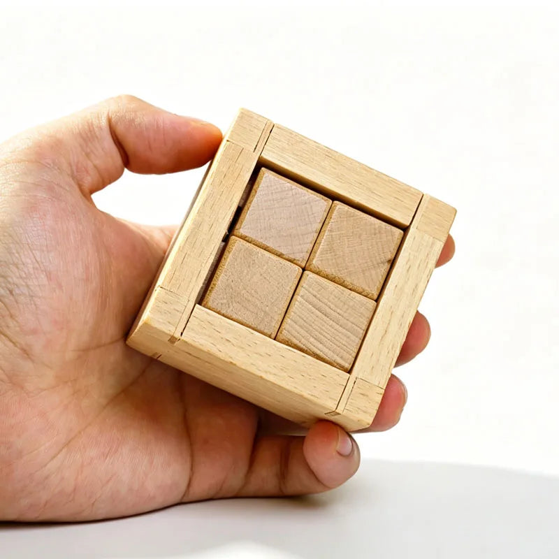 Wooden 3D Brain Teaser Puzzle