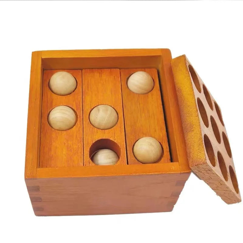 Wooden Brain Teaser Puzzle Set for Adults